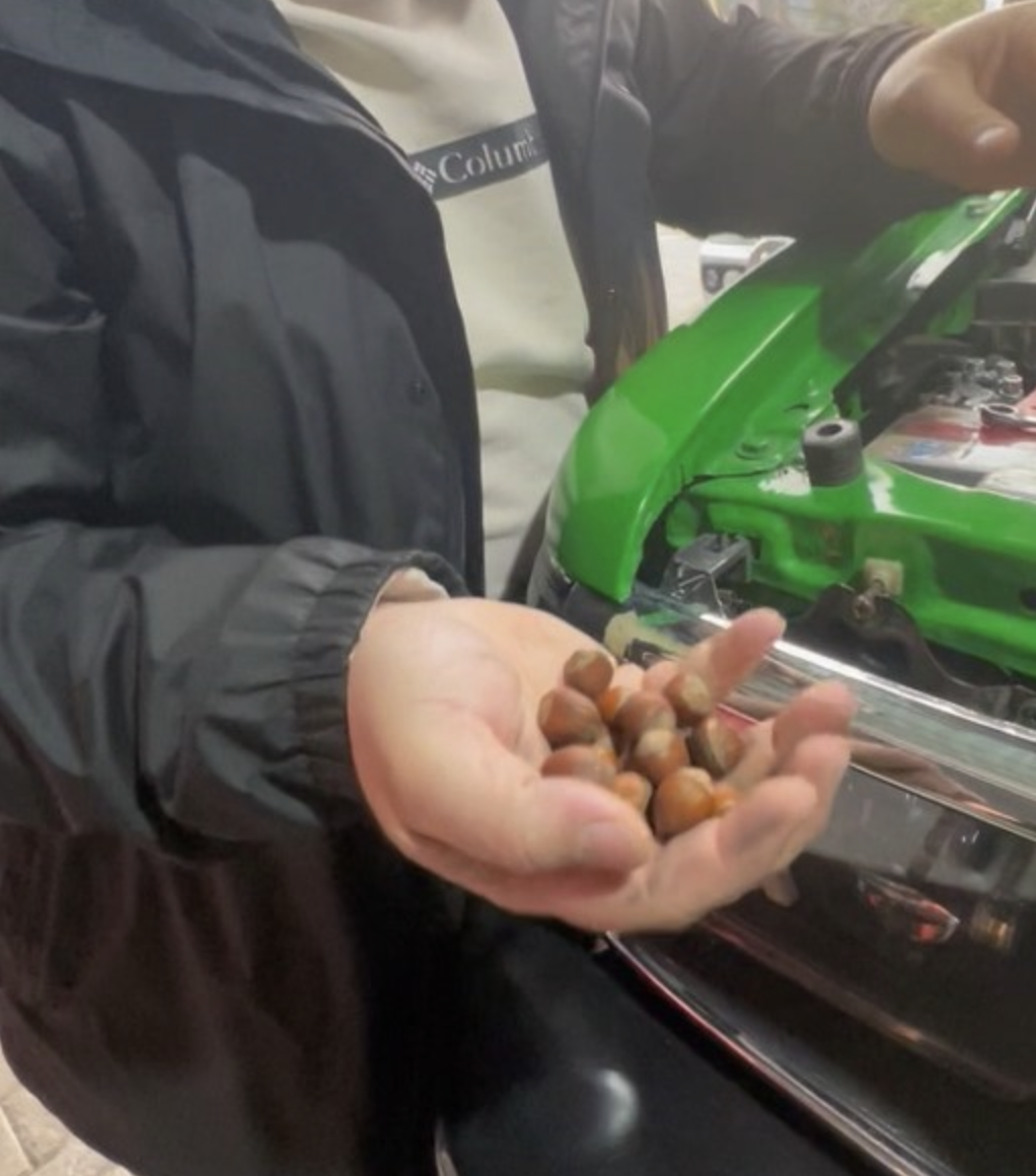 Ekran Resmi 2025 12 24 09.24.48