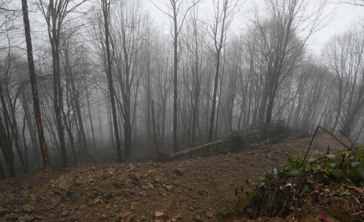 Ekran Resmi 2025 12 26 16.00.08