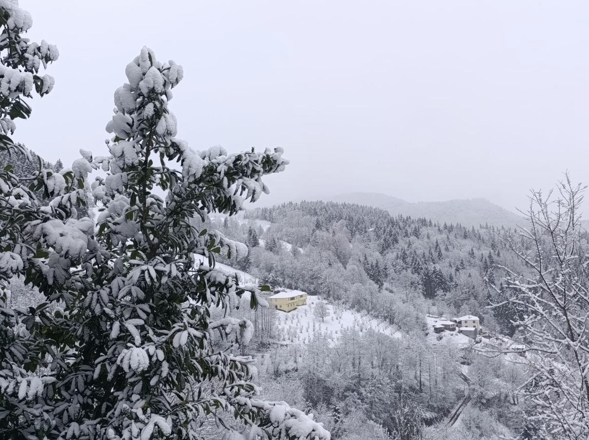 Ekran Resmi 2025 12 27 11.57.02