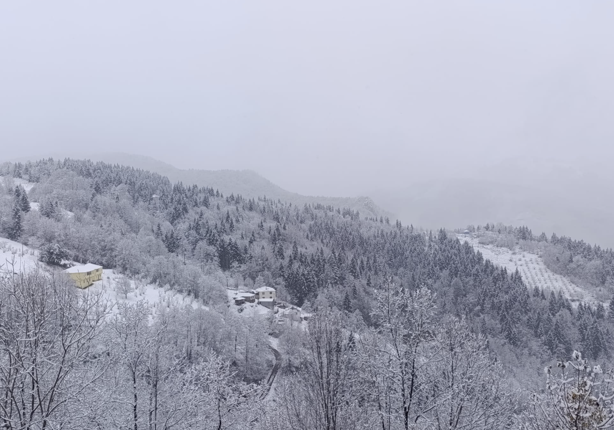 Ekran Resmi 2025 12 27 11.57.06