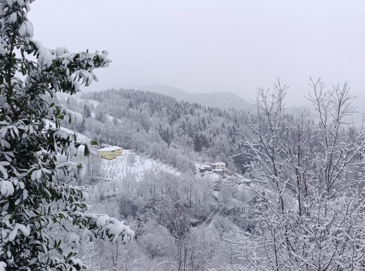 Ekran Resmi 2025 12 27 11.57.09