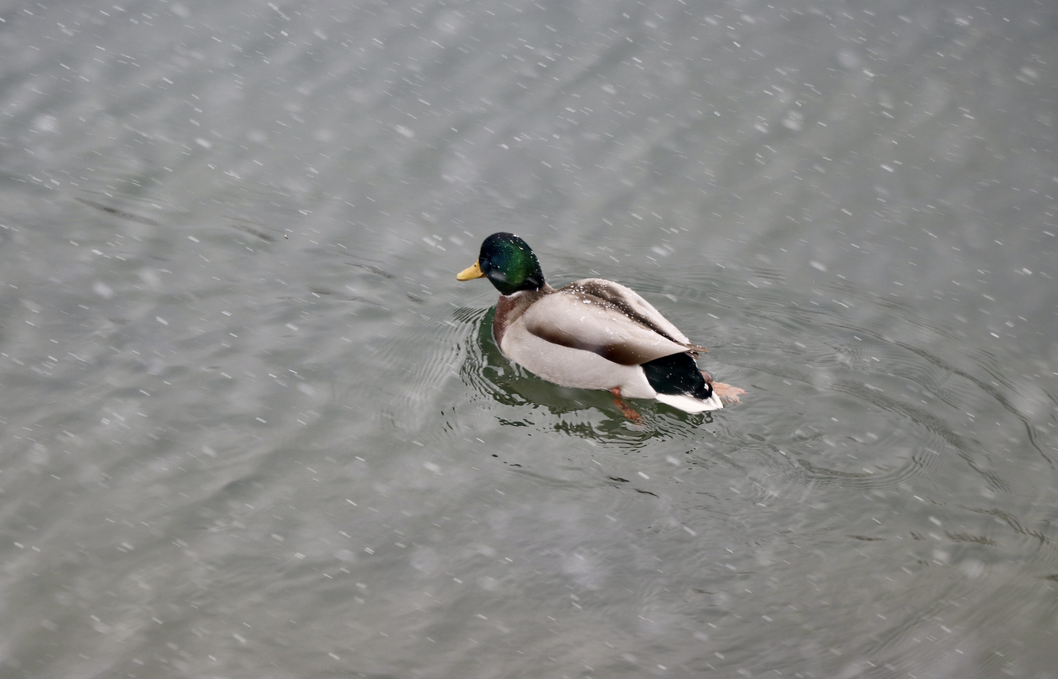 Ekran Resmi 2025 12 27 14.48.27