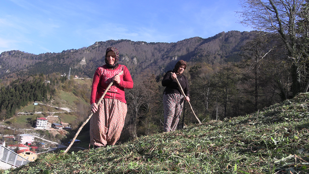 K A R A D E N I Z K A D I N I N I N Y A Y L A D A N S T A D Y U M A U Z 1034109 305971