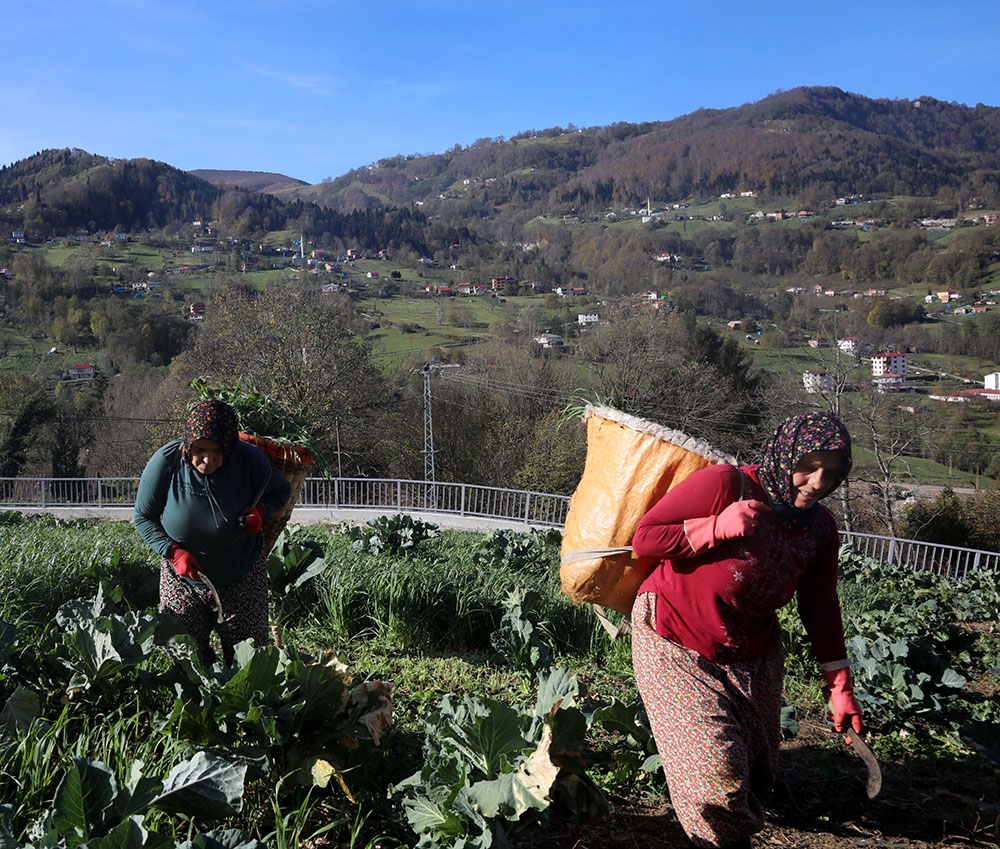 K A R A D E N I Z K A D I N I N I N Y A Y L A D A N S T A D Y U M A U Z 1034116 305971