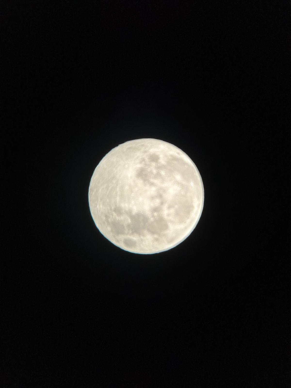 Whatsapp Image 2025 12 04 At 19.40.03