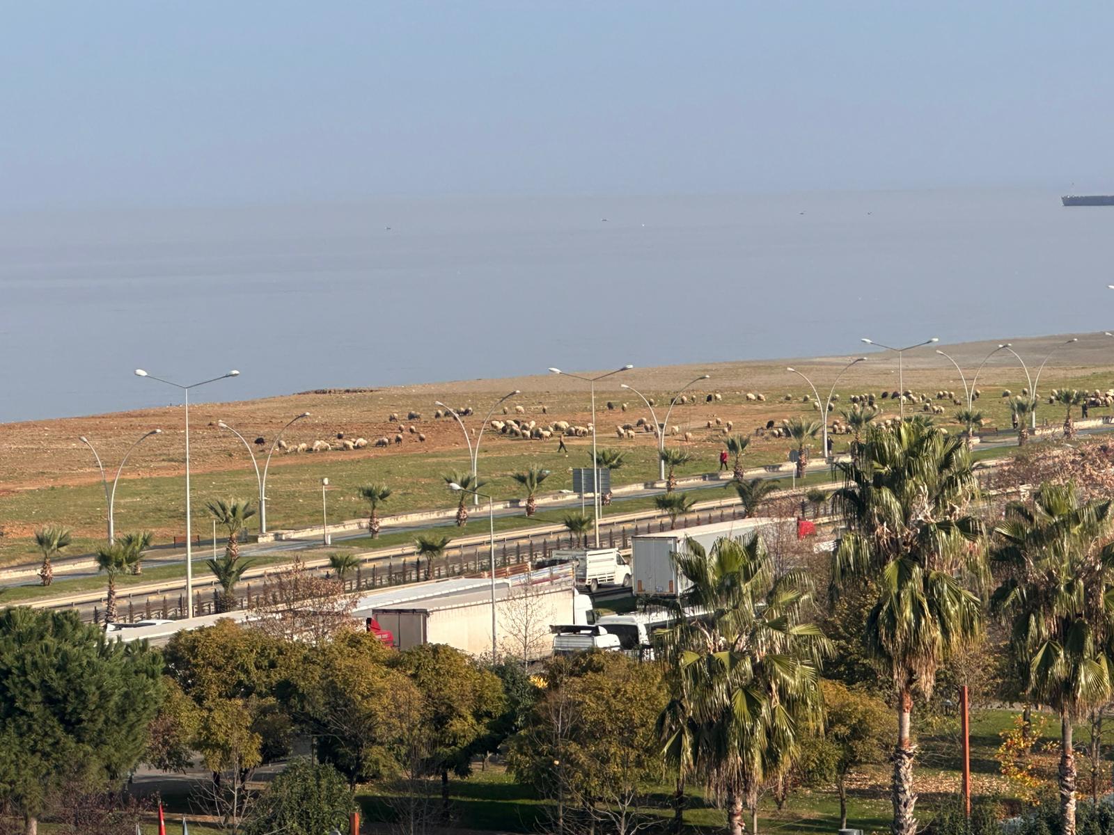 Whatsapp Image 2025 12 08 At 08.22.58