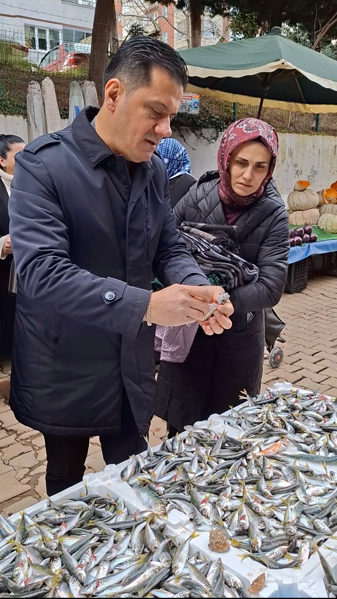 1A372355 Cfe4 4E8A B243 5855Cbf30059