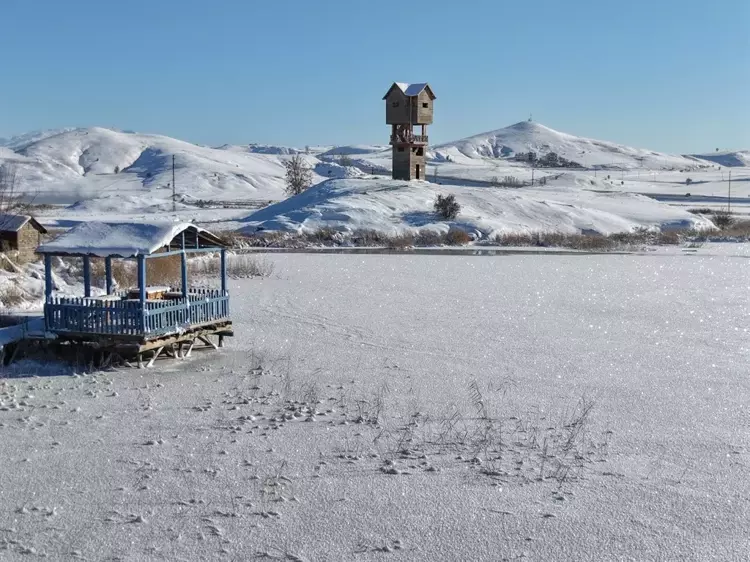 6958Bcc7D8089077C6444E40