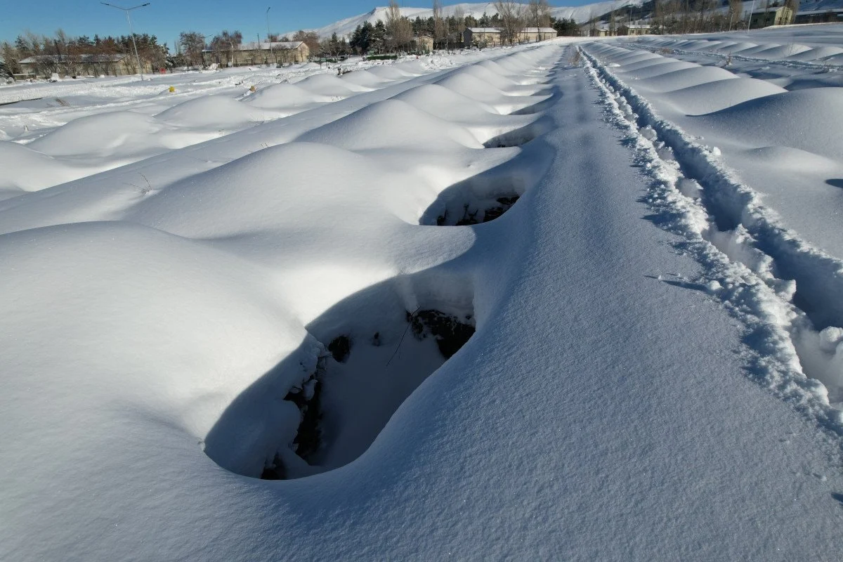 695B6120835Ef978 W1200Xh800