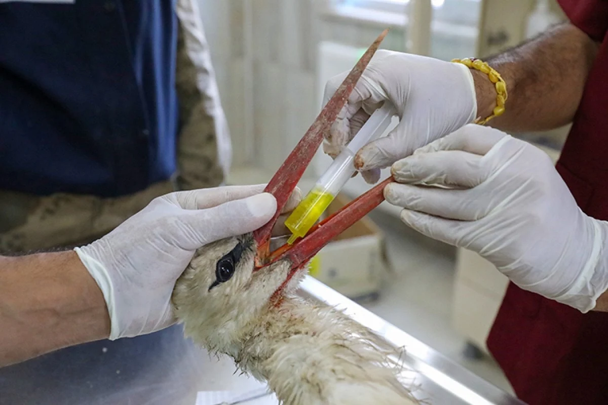 6969E4021Bf24590 W1200Xh800