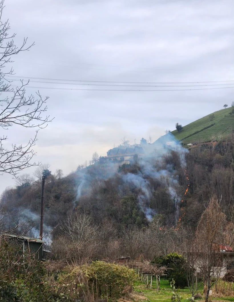 A A 20260108 40197756 40197755 R I Z E D E C I K A N O R T U Y A N G I N I K O N T R O L A L T I N A A L I N D I