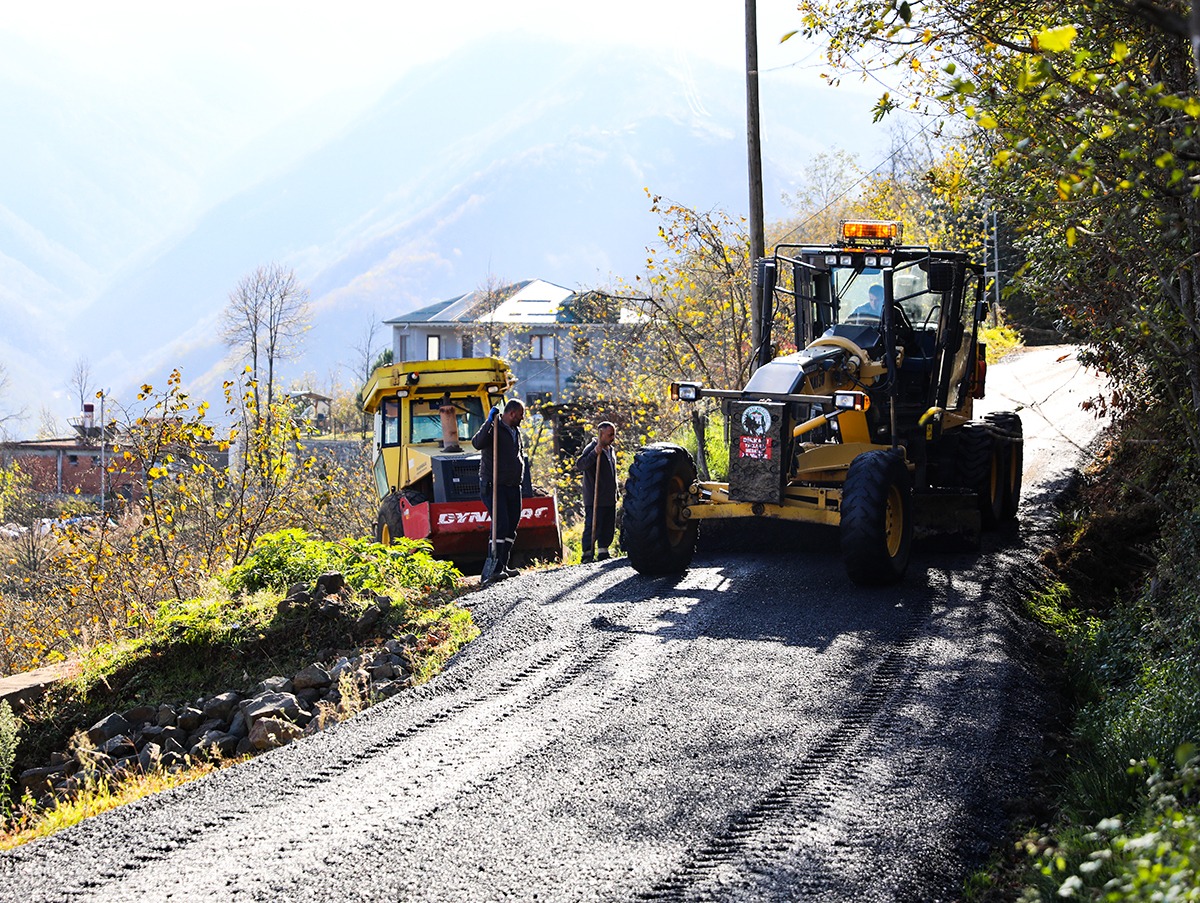 E0368400 373A 49E8 Ab08 Cfc6B2F1F55D