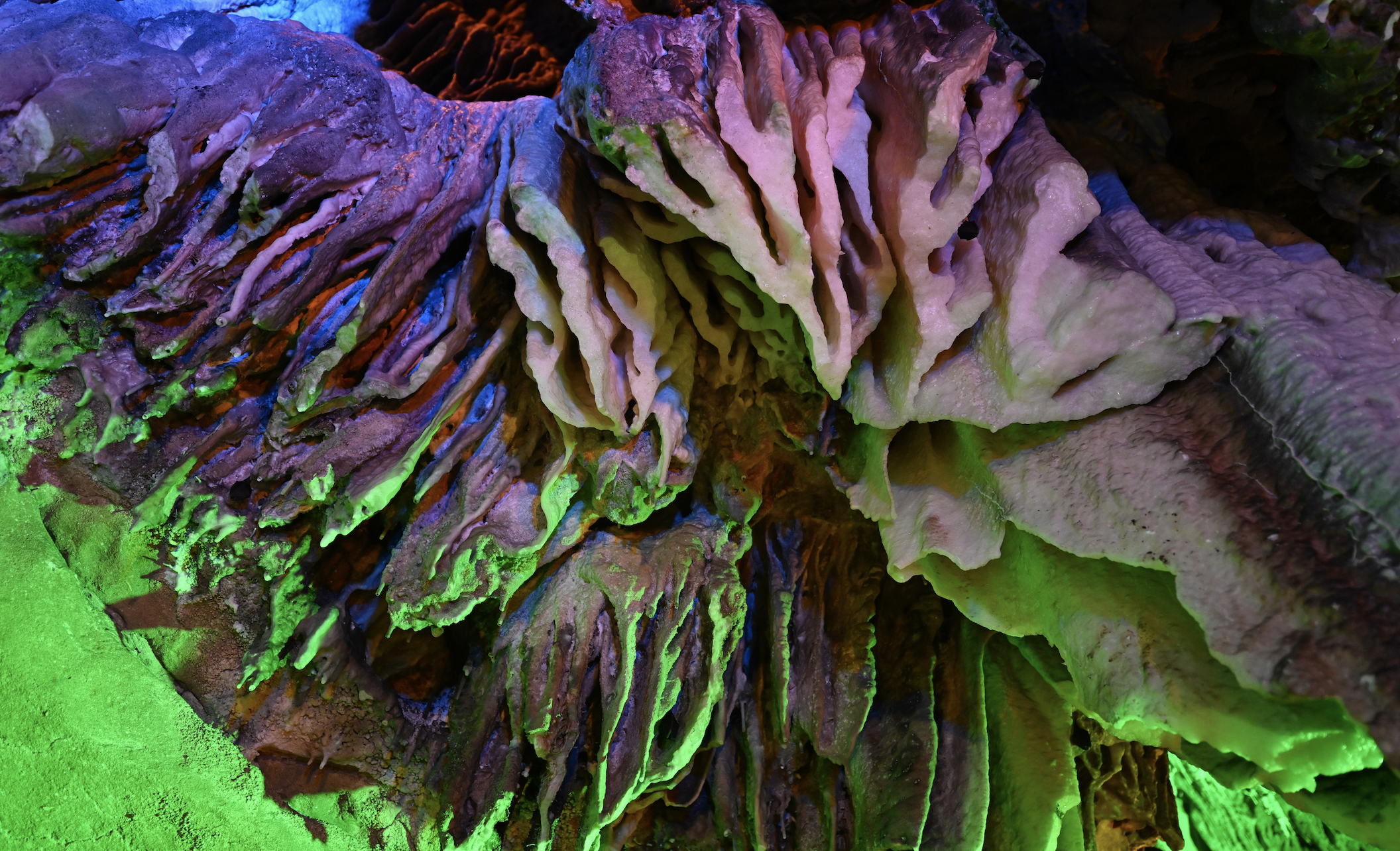 Ekran Resmi 2026 01 10 11.38.22