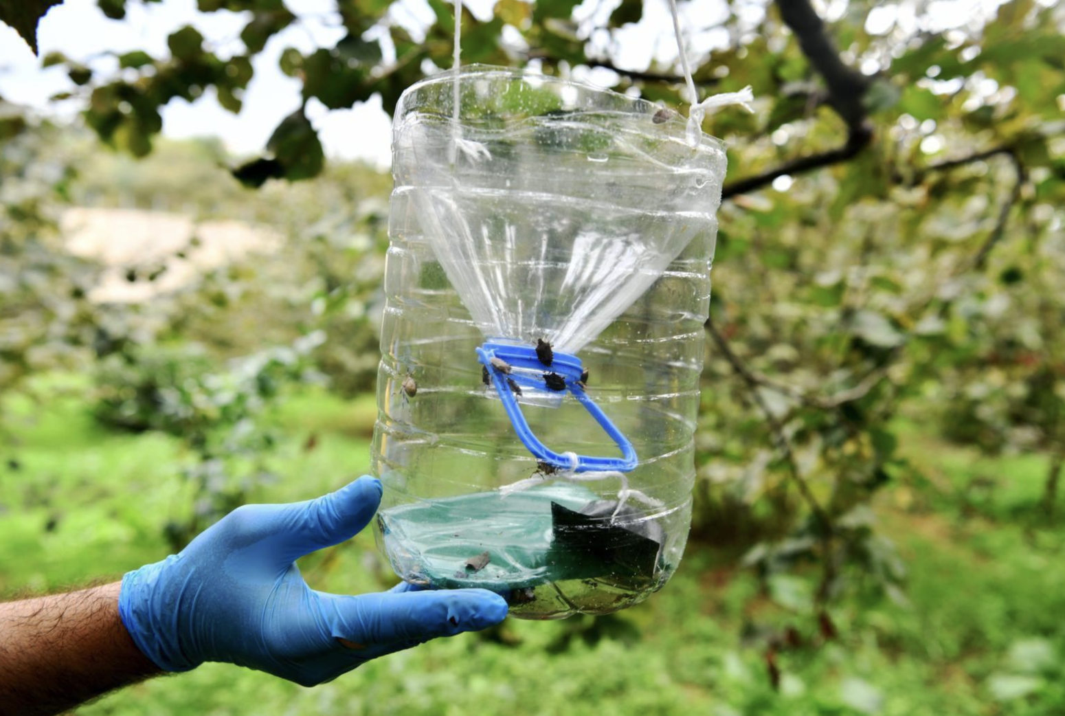 Ekran Resmi 2026 01 18 11.46.35