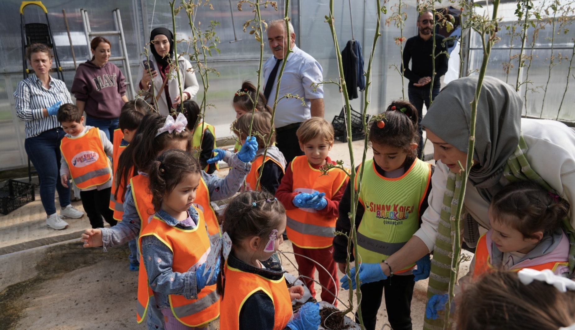 Ekran Resmi 2026 01 18 11.53.45