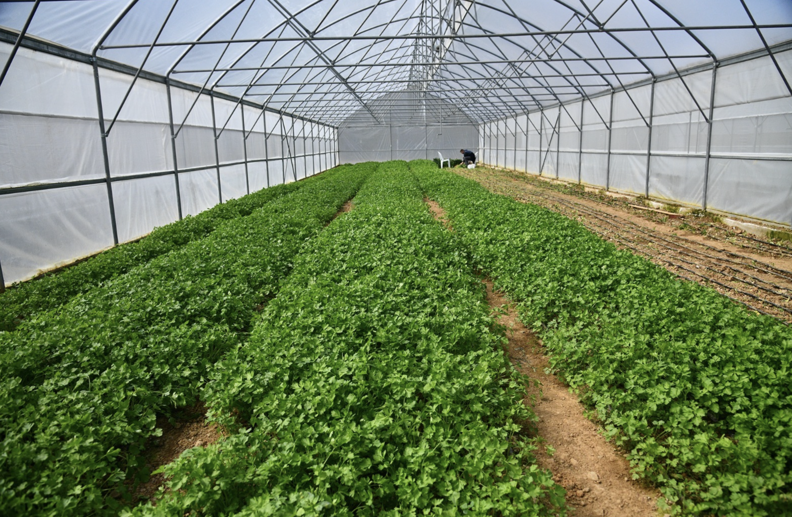 Ekran Resmi 2026 01 18 11.53.50