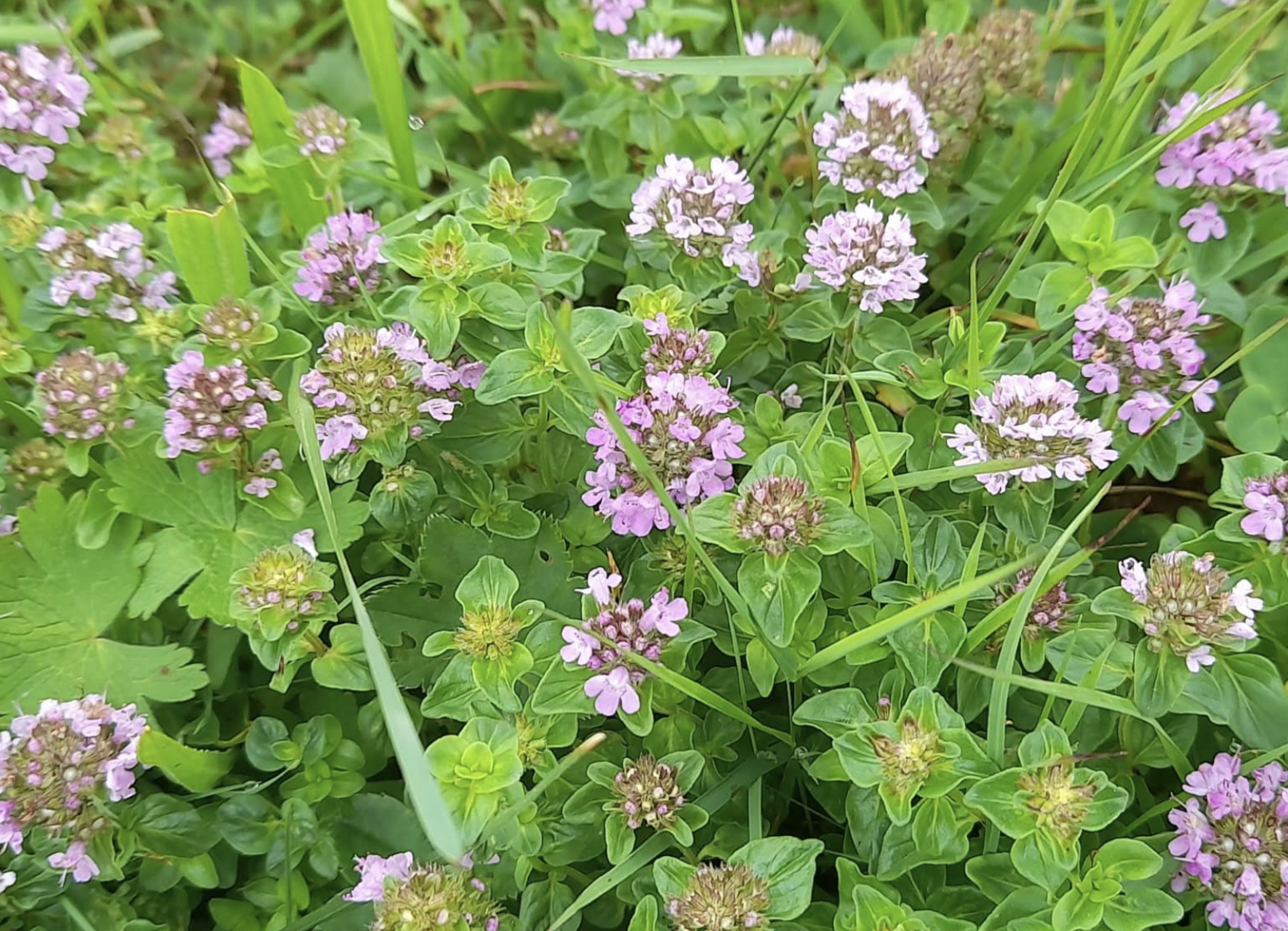 Ekran Resmi 2026 01 27 11.18.12