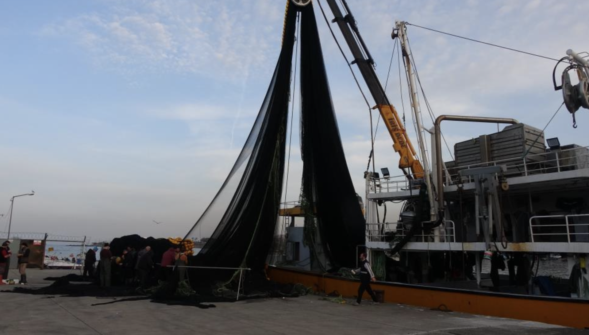 Ekran Resmi 2026 01 30 09.59.42