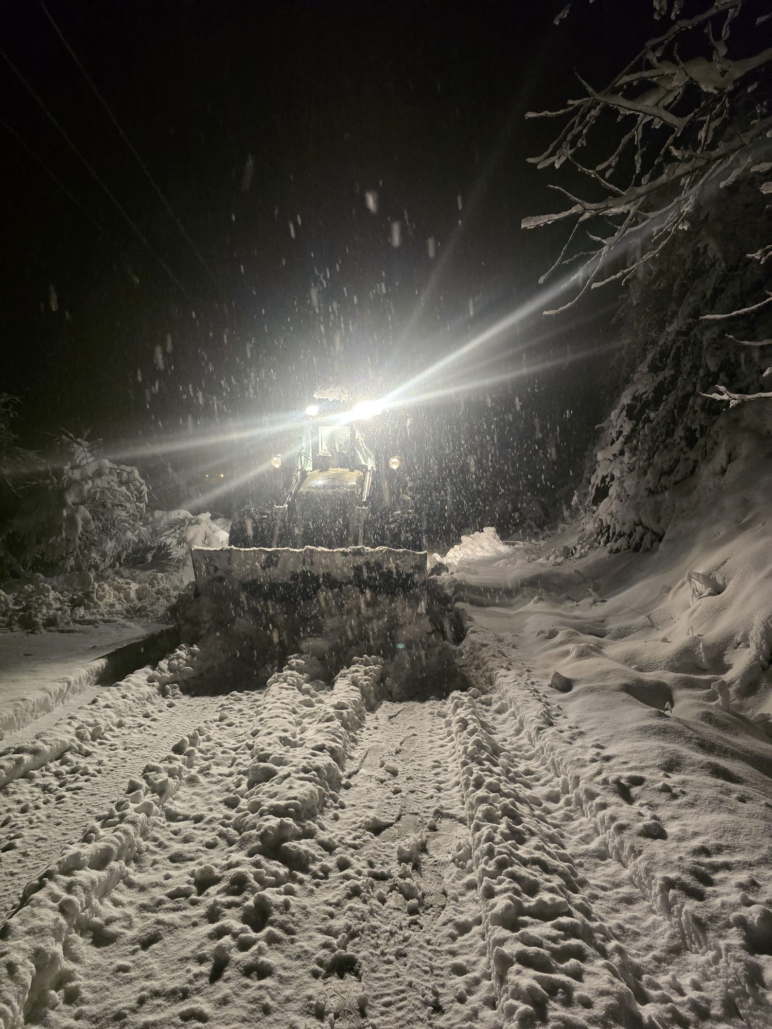 Whatsapp Image 2026 01 01 At 20.51.31