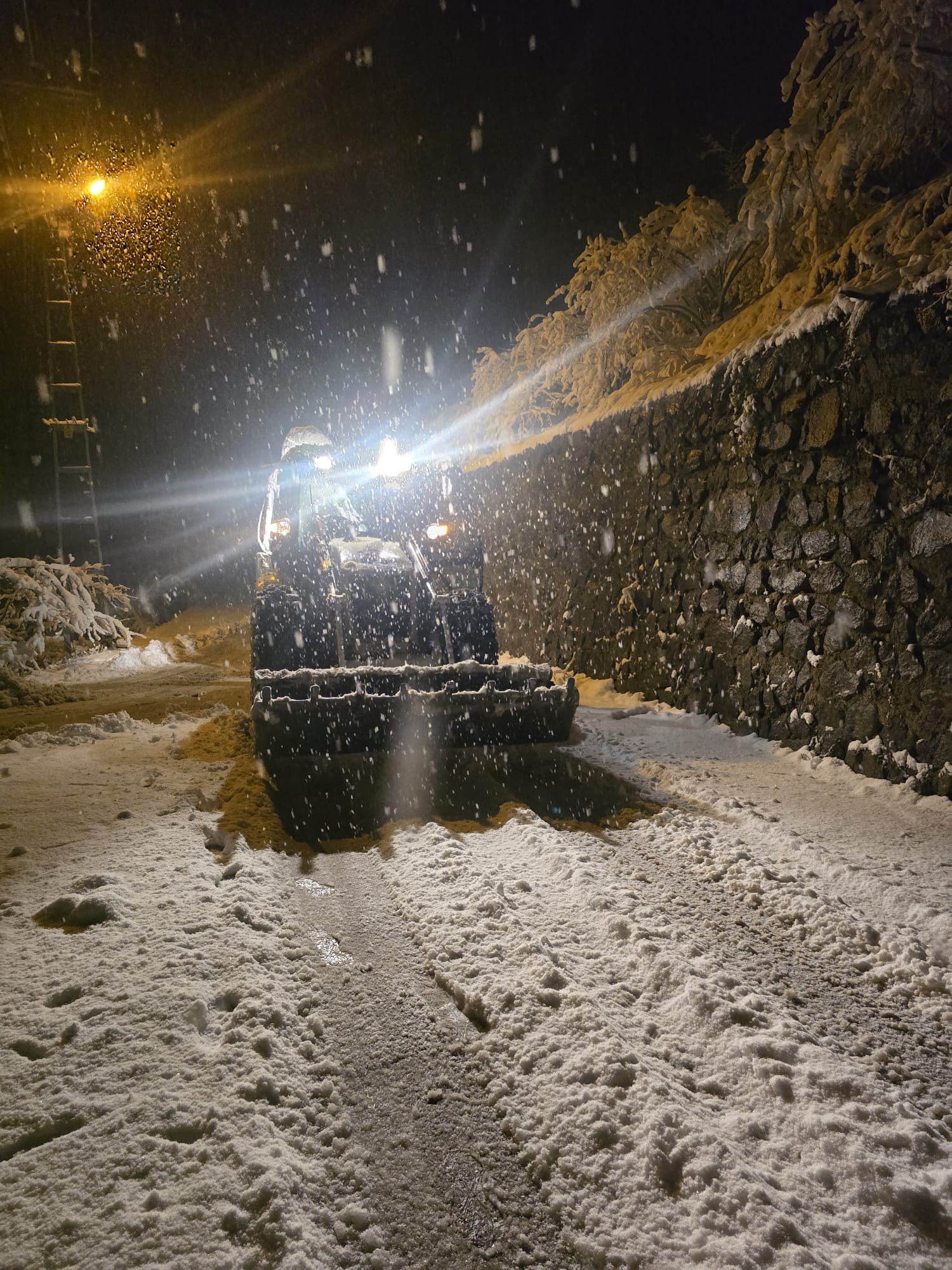 Whatsapp Image 2026 01 01 At 20.51.32