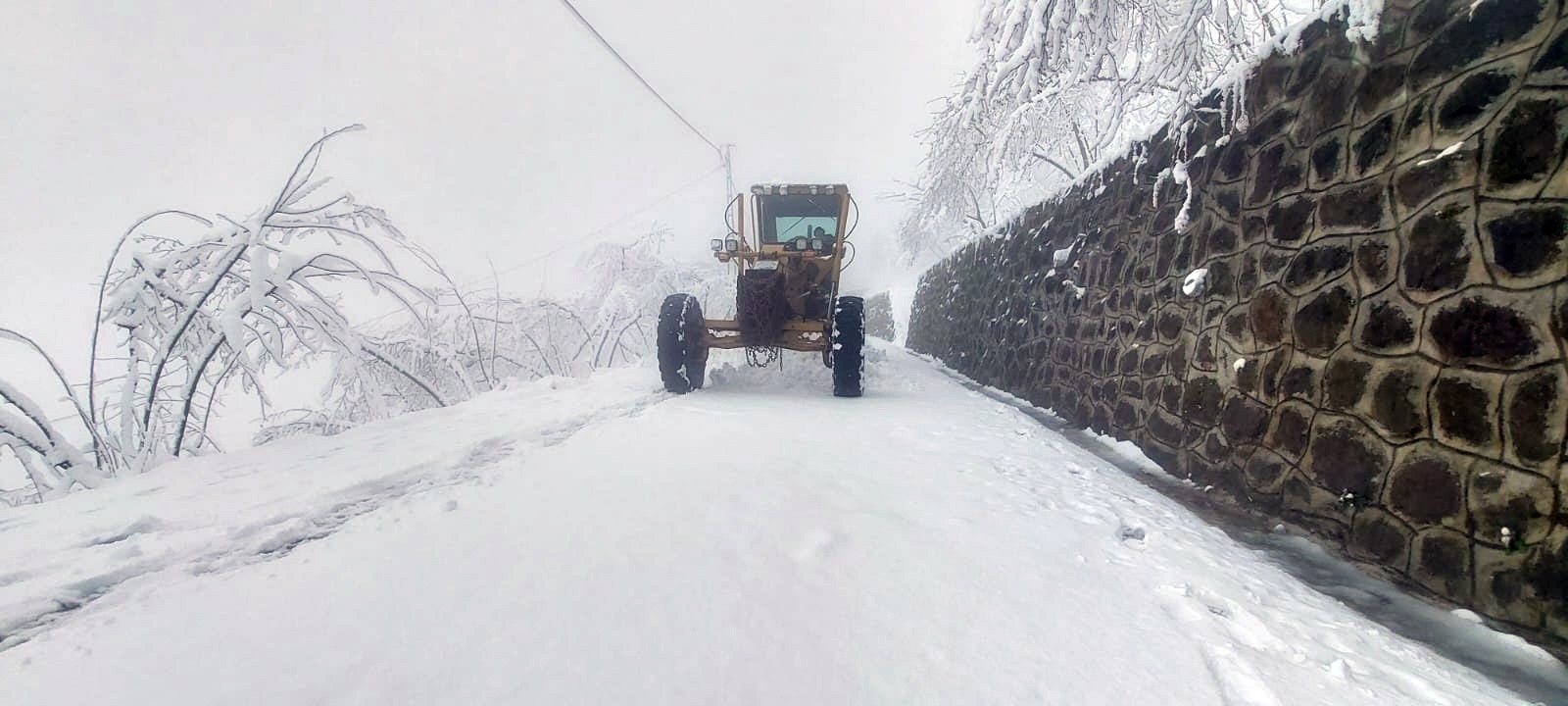 Whatsapp Image 2026 01 17 At 19.10.43 (1)