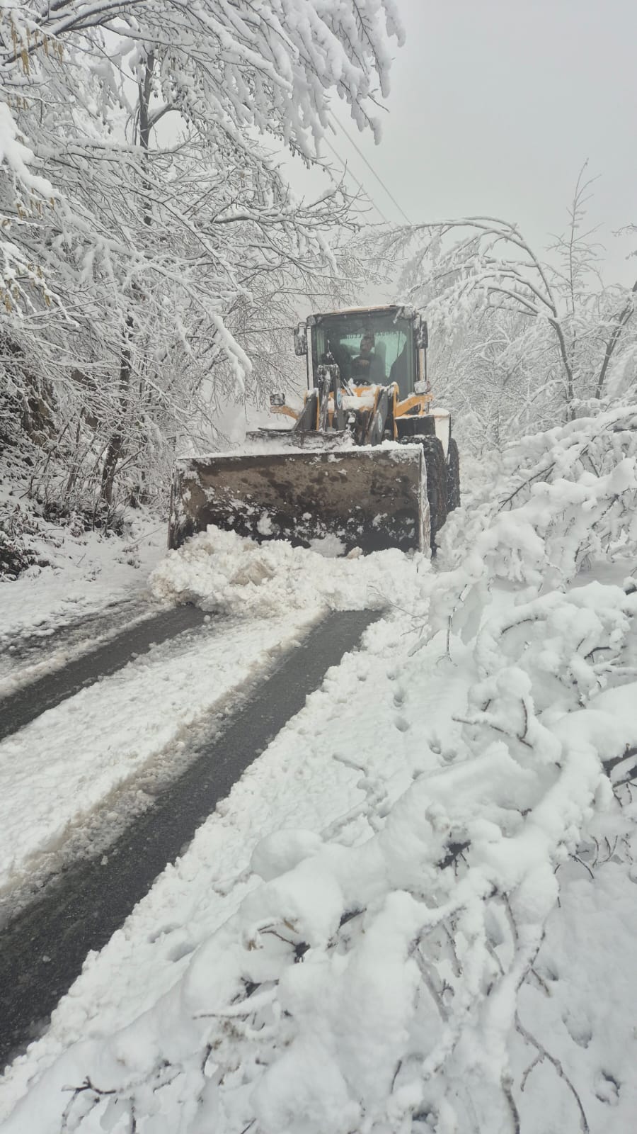 Whatsapp Image 2026 01 17 At 19.10.43 (2)