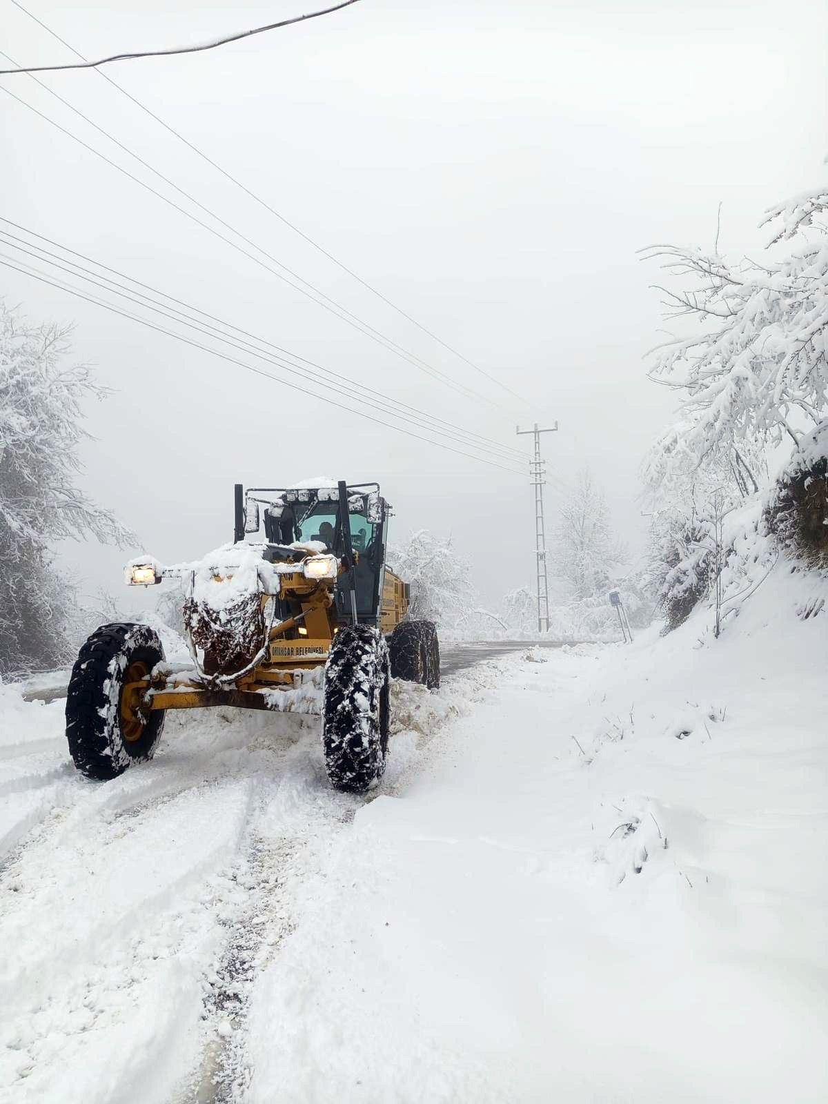 Whatsapp Image 2026 01 17 At 19.10.43