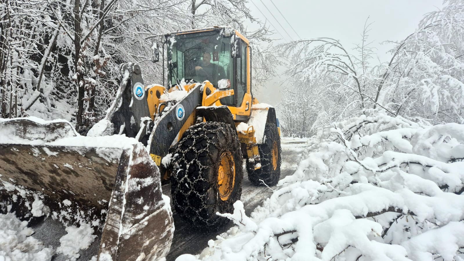 Whatsapp Image 2026 01 17 At 19.10.45