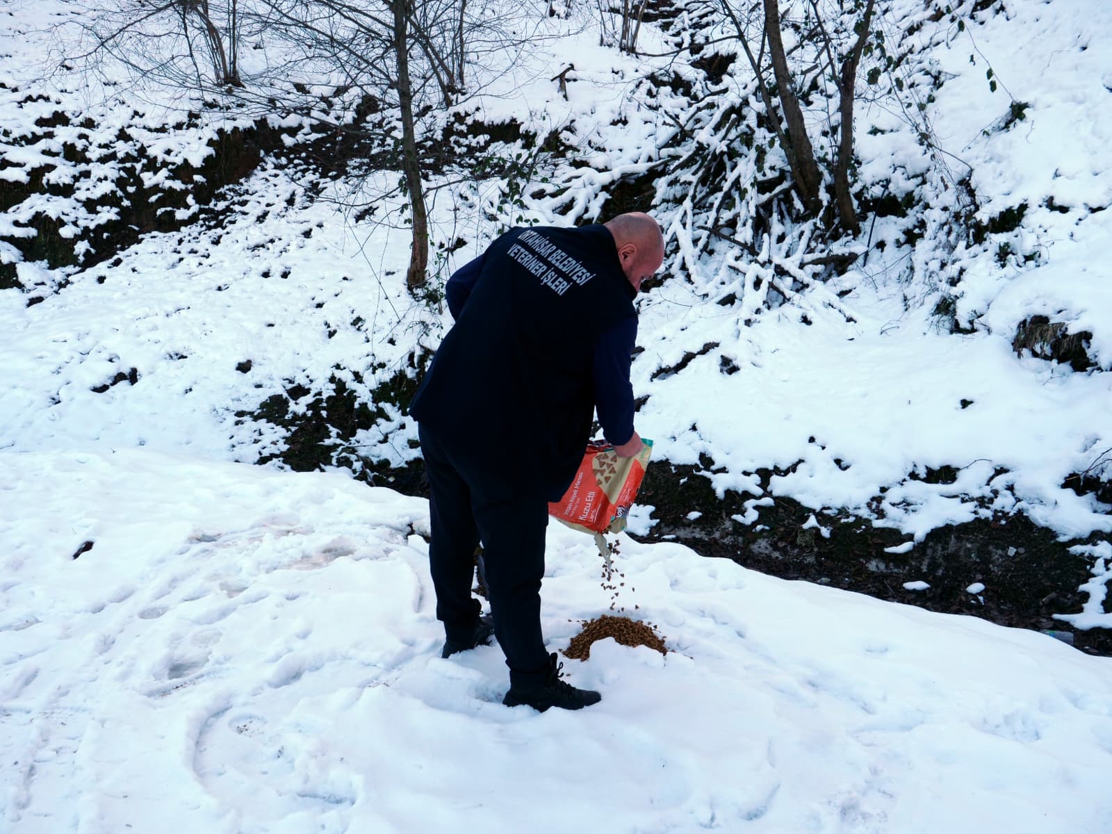 Whatsapp Image 2026 01 24 At 10.47.50 (1)