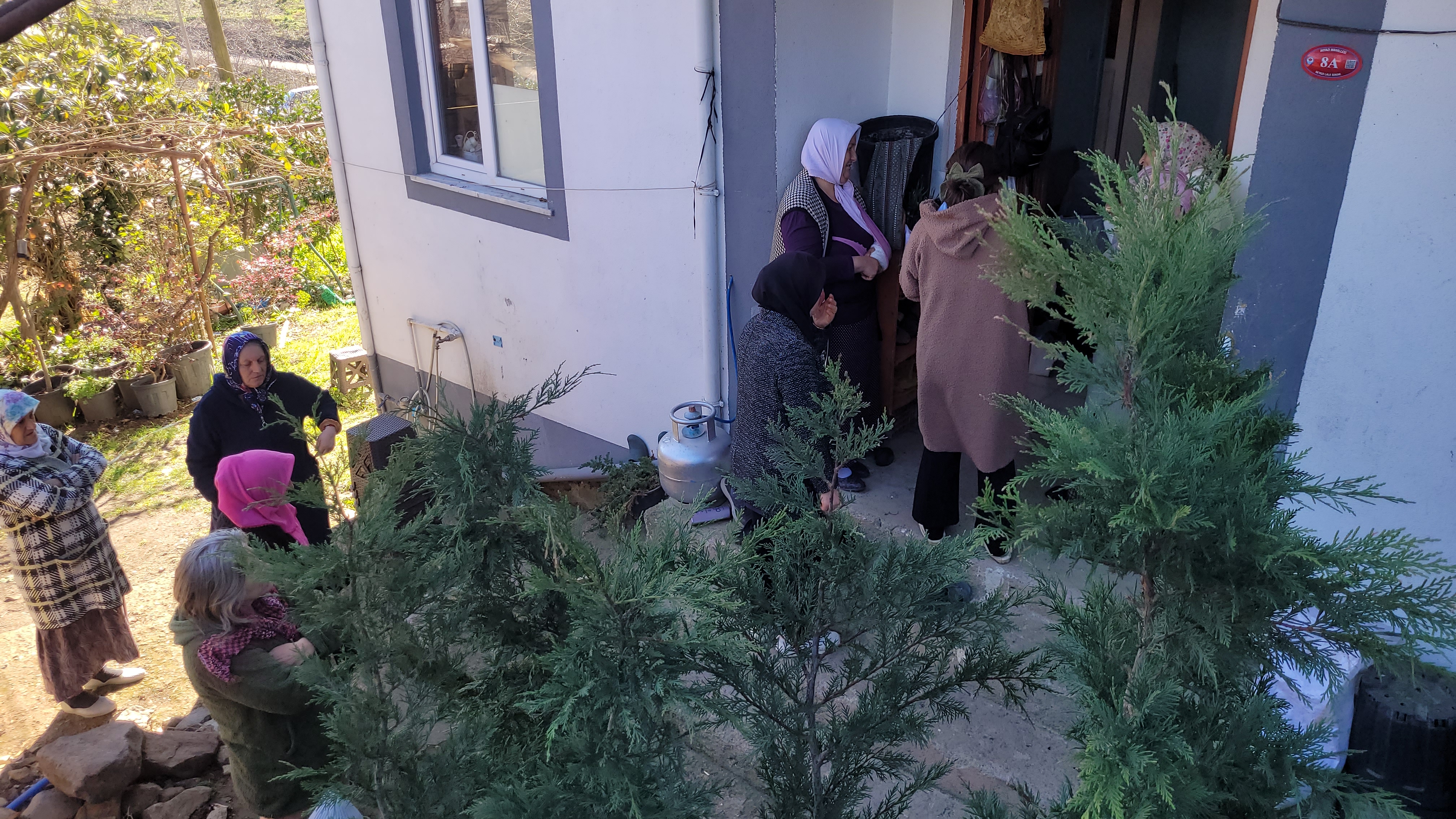 2 C O C U K B A B A S I E V I N D E O L U B U L U N D U 1178253 350032