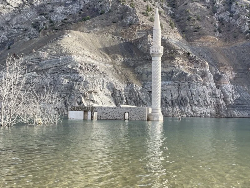 699E9C280B2C4895 W1200Xh900