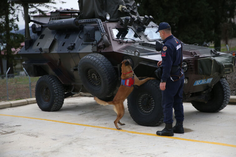 Aa Picture 20260226 40669800