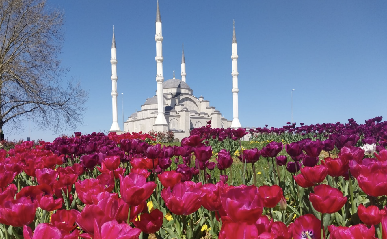 Ekran Resmi 2026 02 03 15.57.57