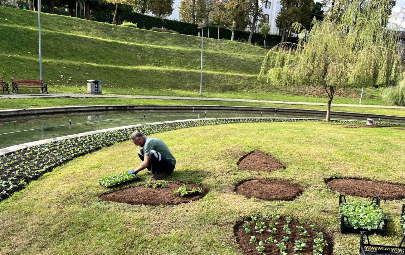 Ekran Resmi 2026 02 03 15.58.07