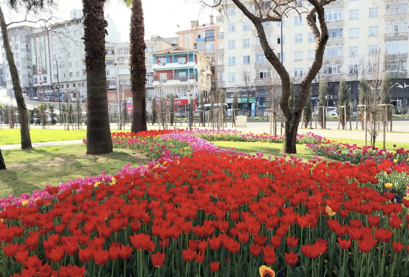 Ekran Resmi 2026 02 03 15.58.26