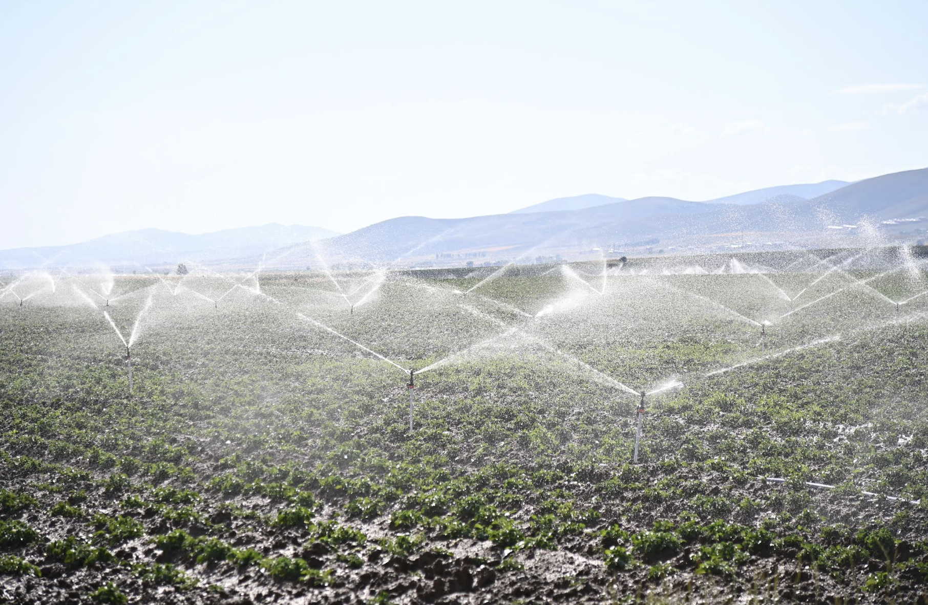 Ekran Resmi 2026 02 05 08.36.56