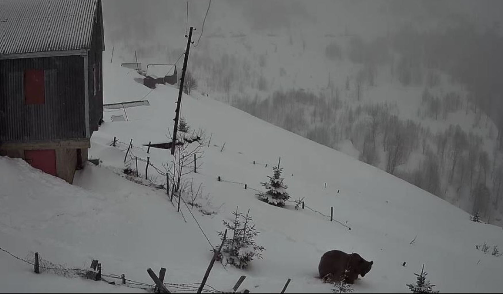 Ekran Resmi 2026 02 10 11.15.57