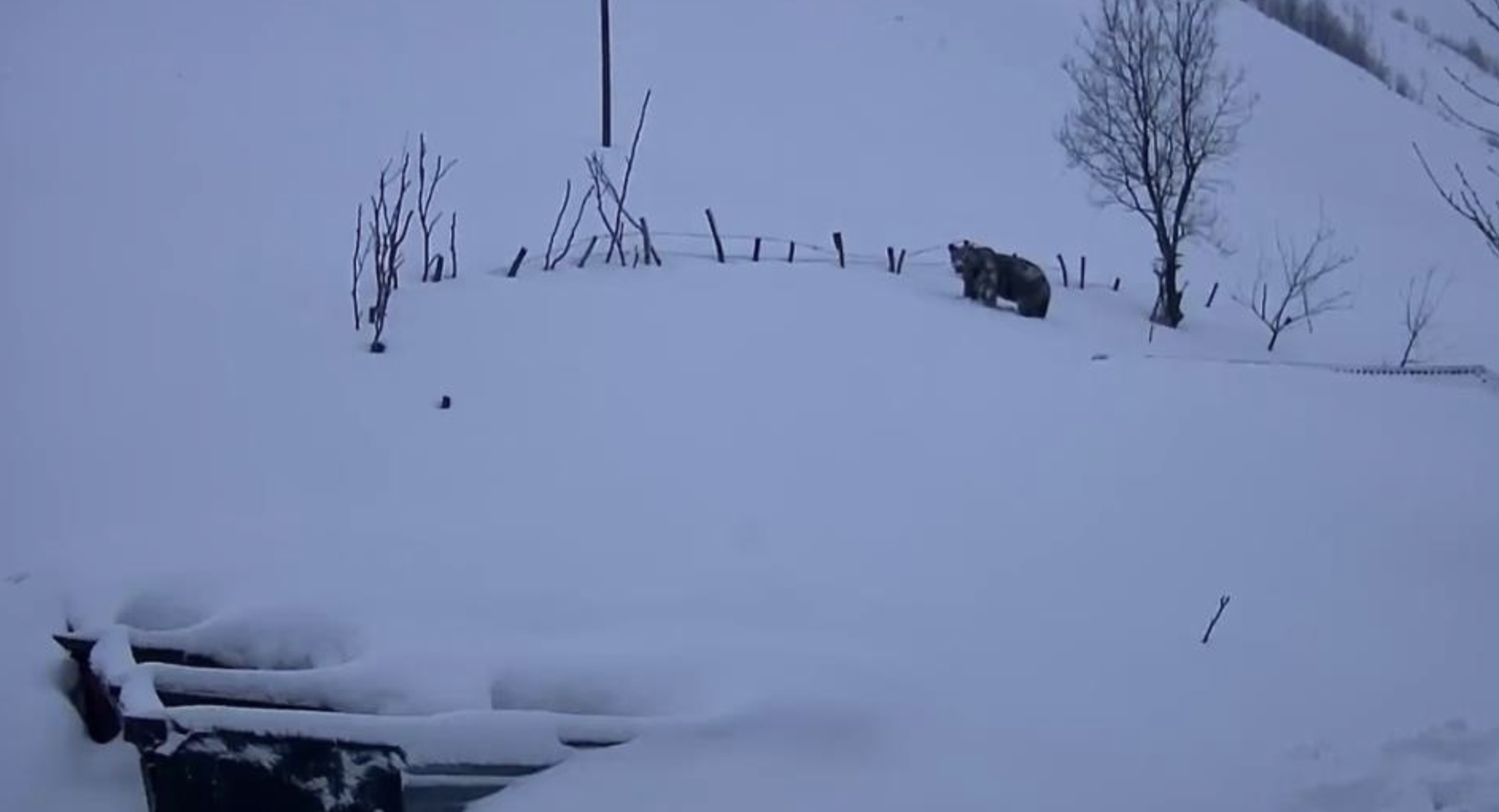 Ekran Resmi 2026 02 10 11.16.00