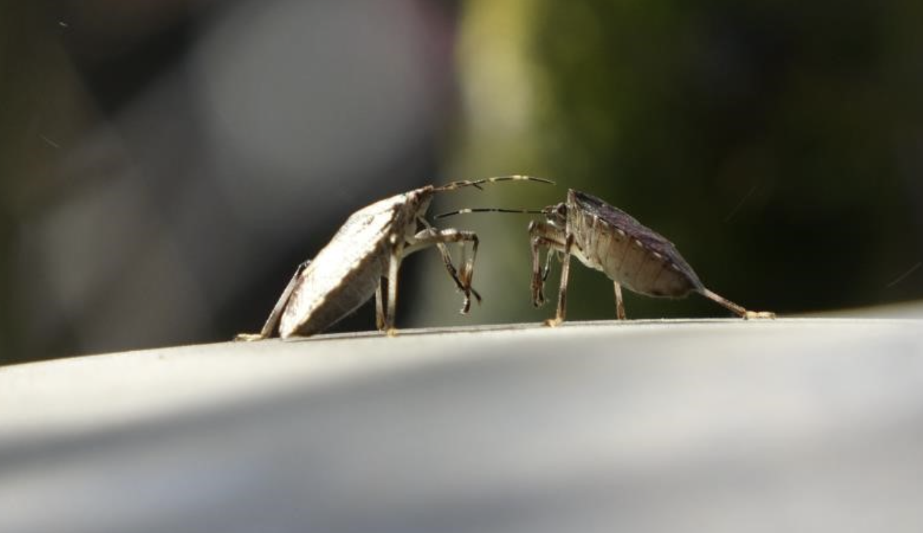 Ekran Resmi 2026 02 11 10.06.07