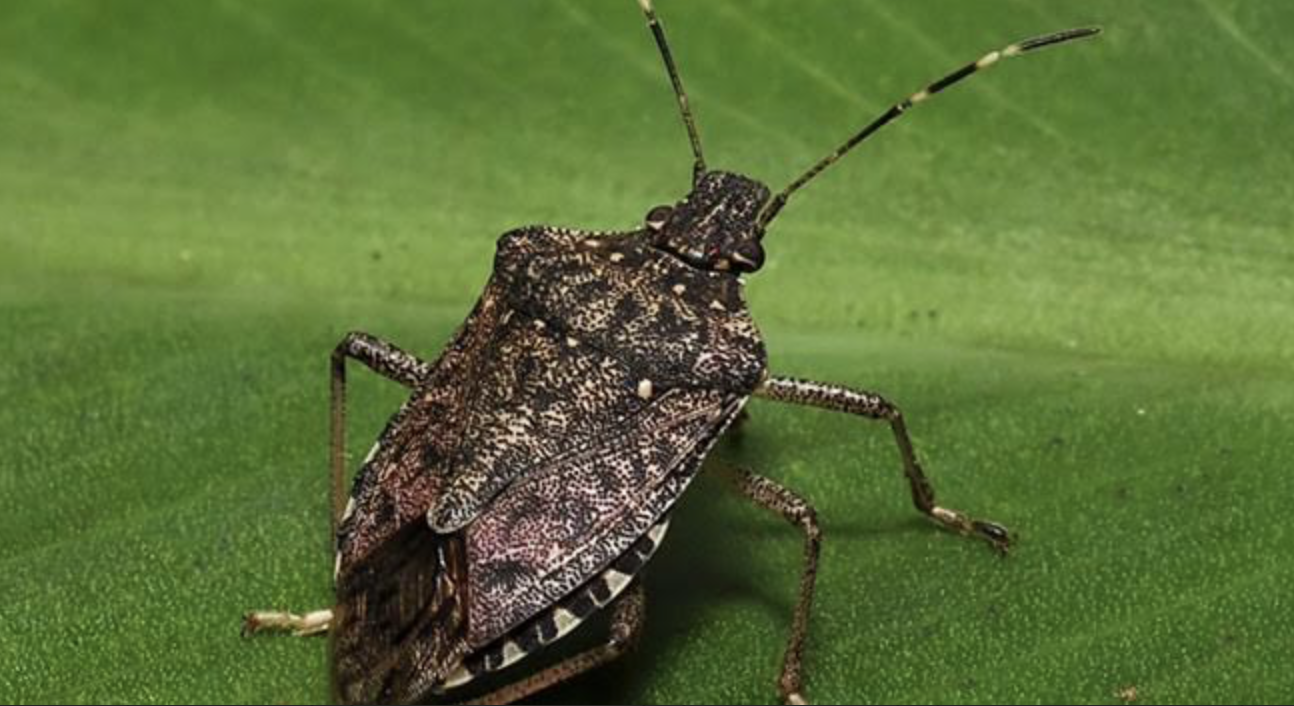 Ekran Resmi 2026 02 11 18.06.32