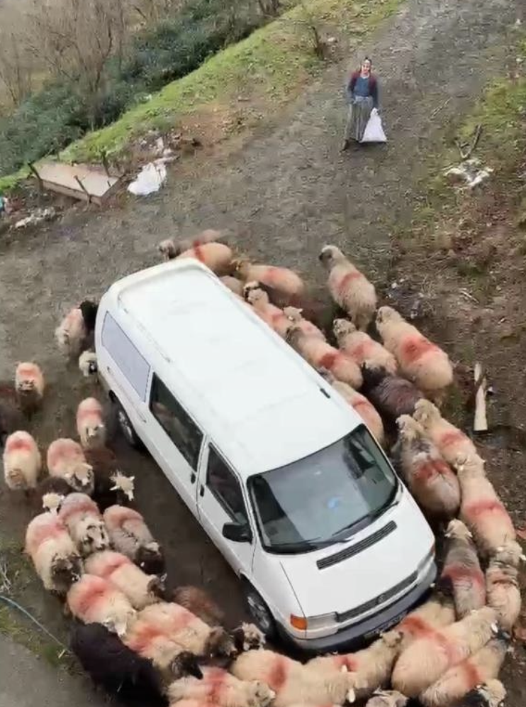 Ekran Resmi 2026 02 11 18.12.28