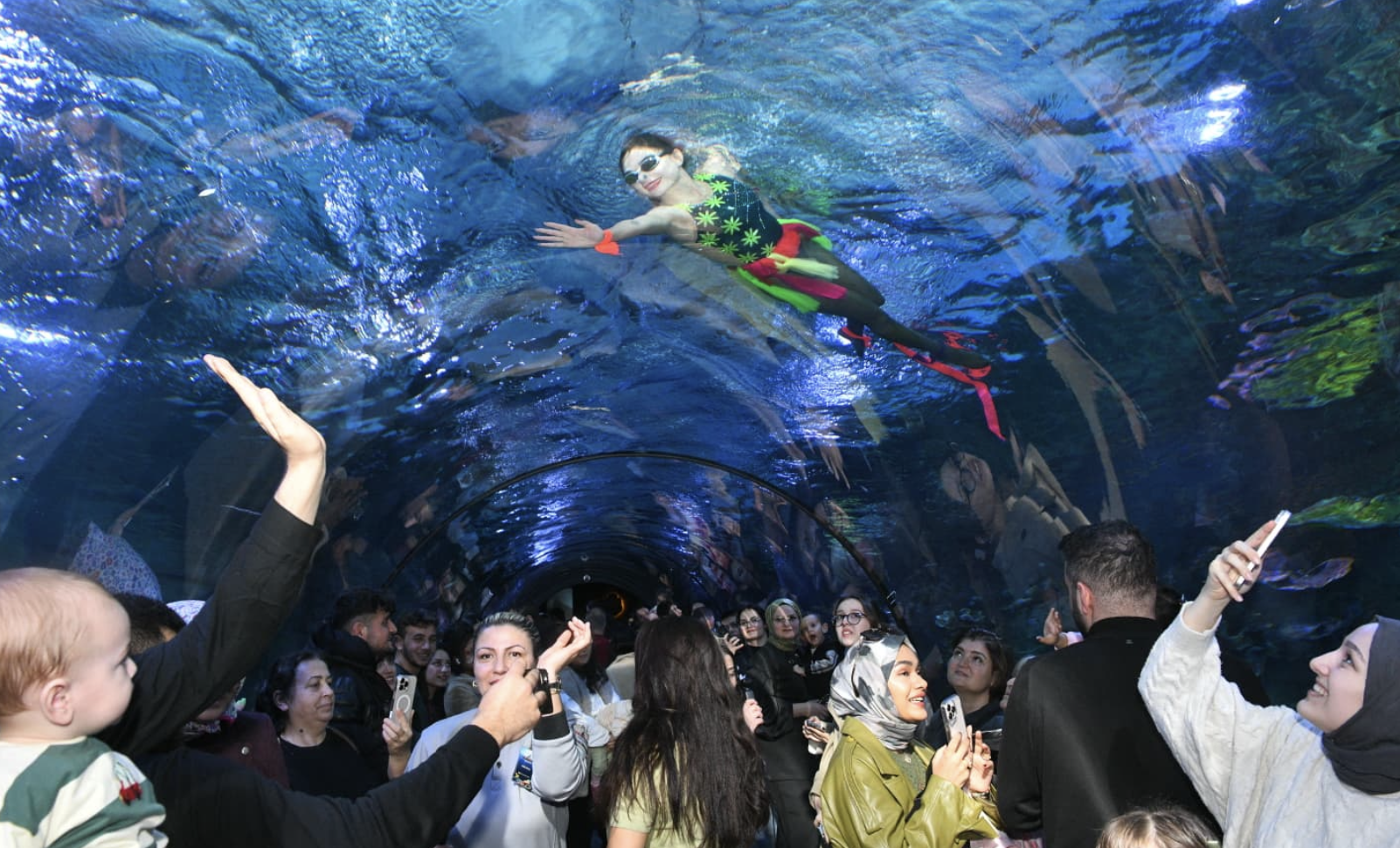 Ekran Resmi 2026 02 14 16.00.01