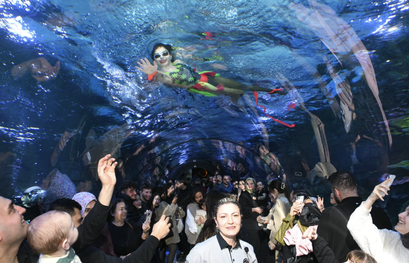 Ekran Resmi 2026 02 14 16.00.13