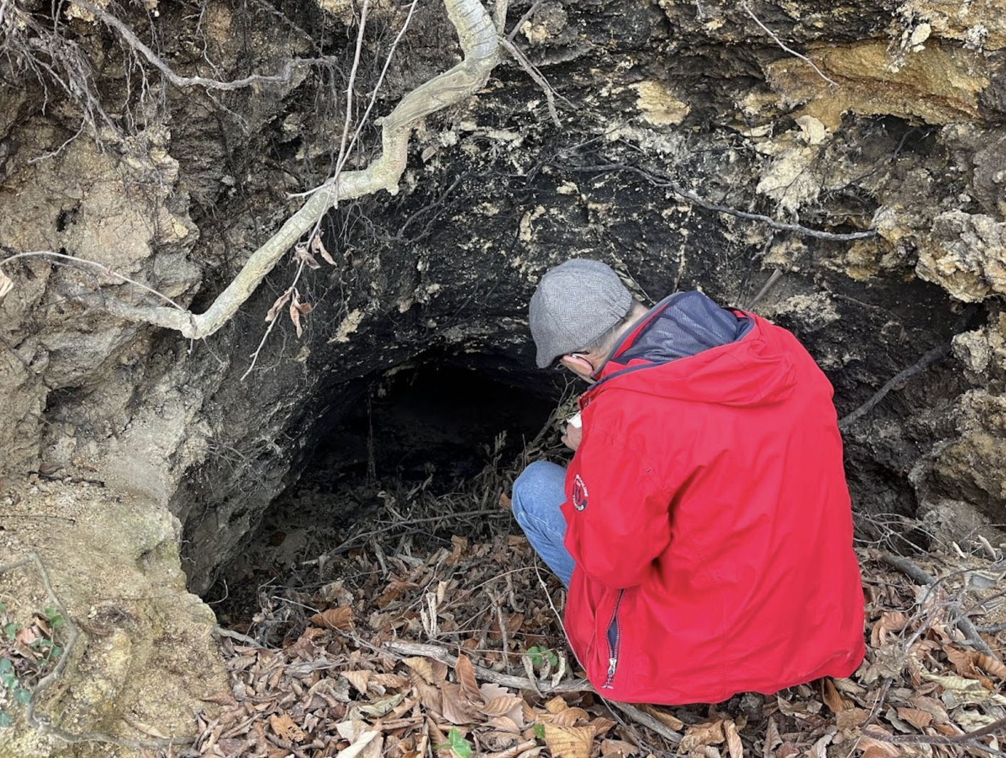 Ekran Resmi 2026 02 15 10.09.39