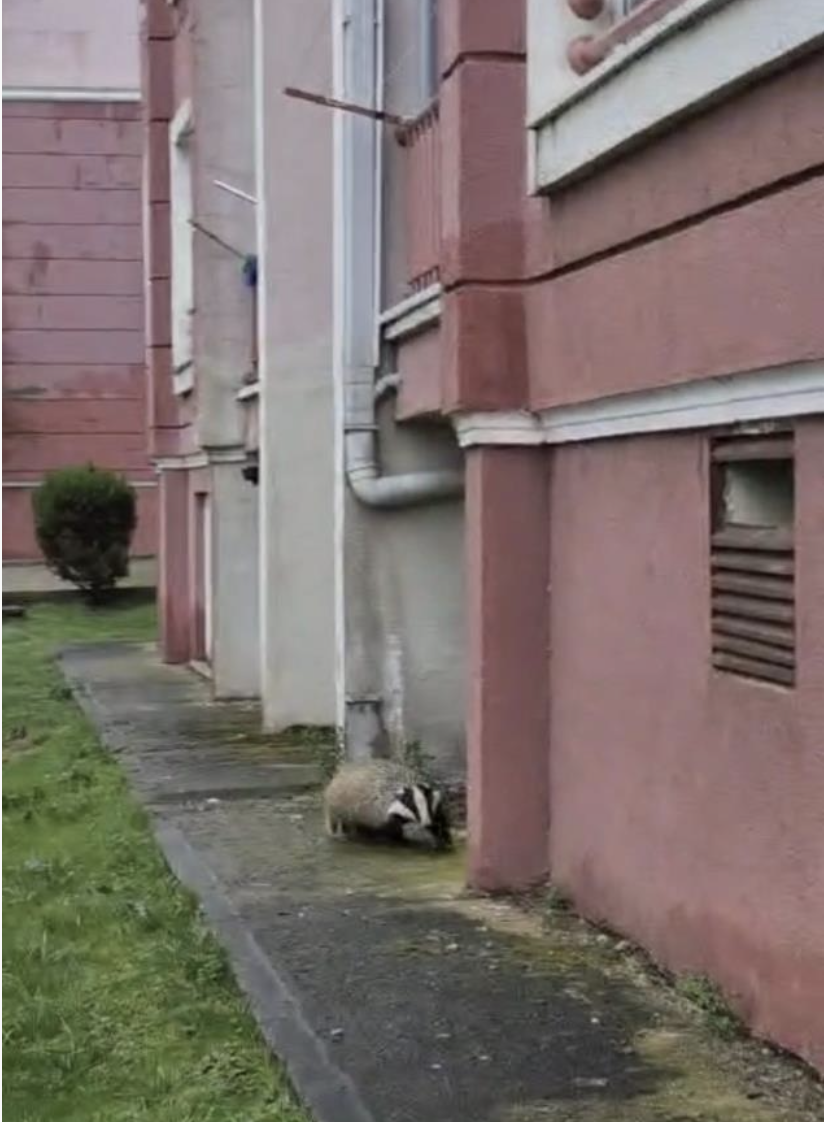 Ekran Resmi 2026 02 24 10.28.03