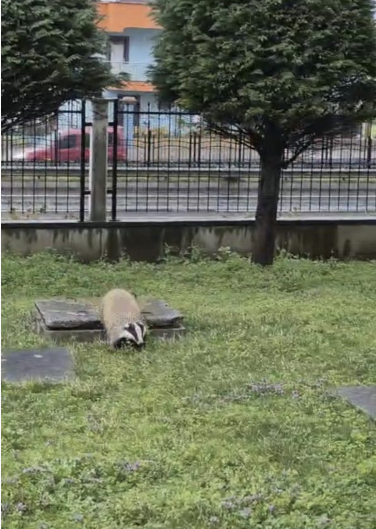 Ekran Resmi 2026 02 24 10.28.08