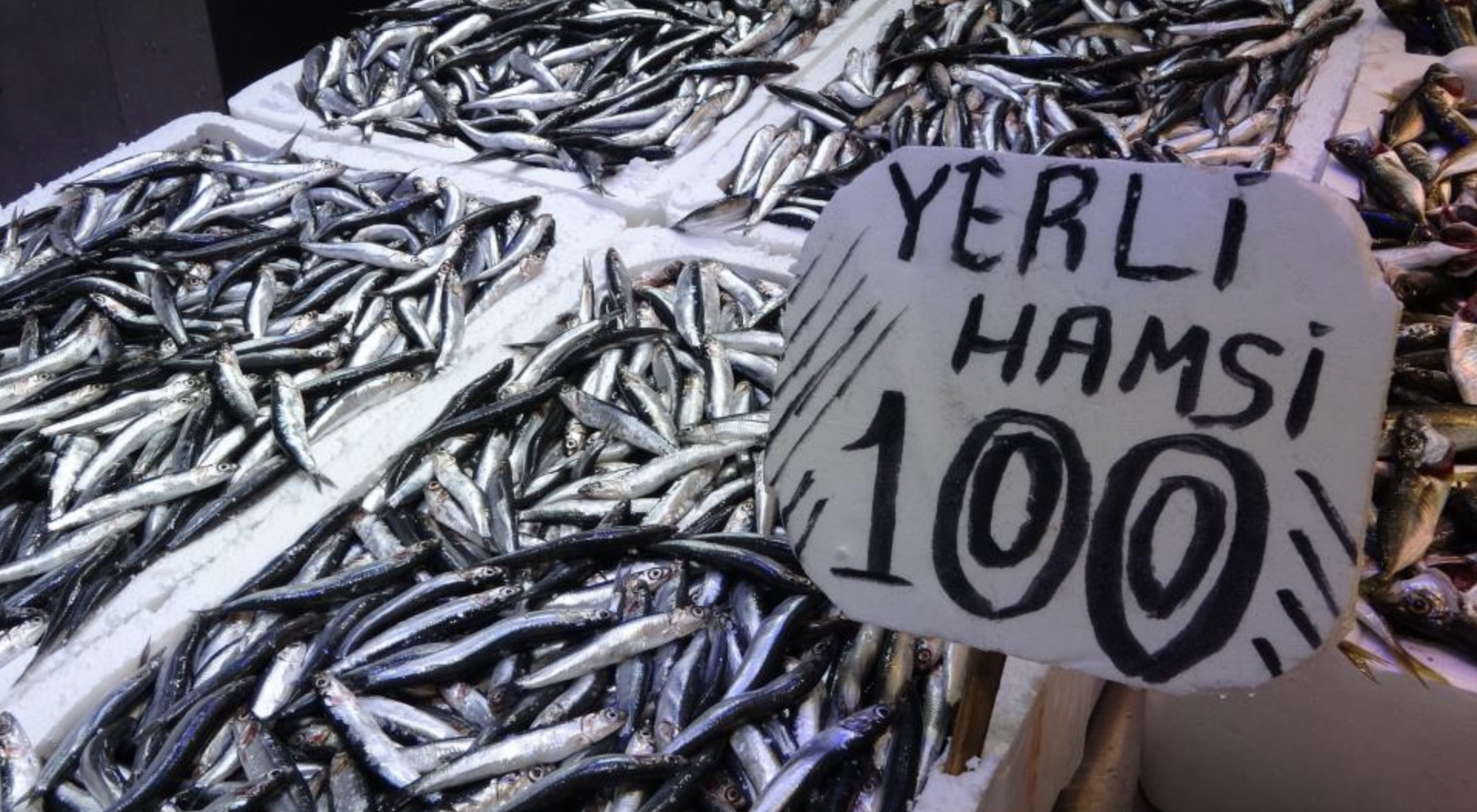 Ekran Resmi 2026 02 27 12.27.19