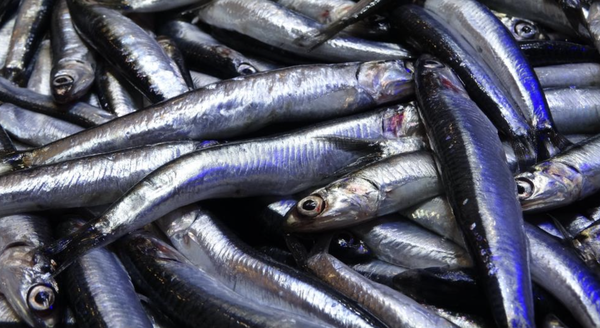 Ekran Resmi 2026 02 27 12.27.22