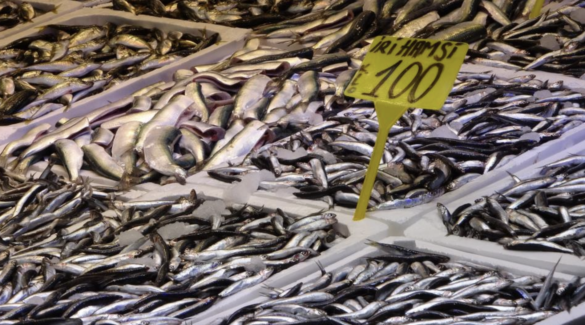 Ekran Resmi 2026 02 27 12.27.26