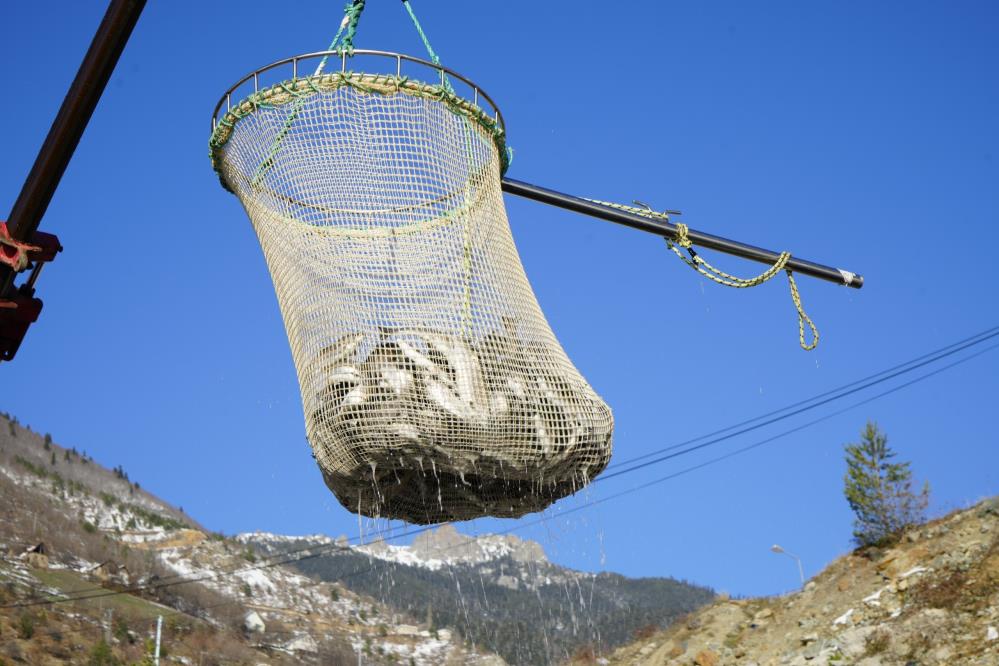 G Ü M Ü Ş H A N E-1